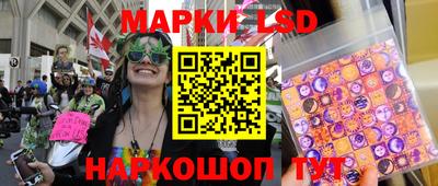 СК Моздок