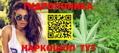 скорость Можга