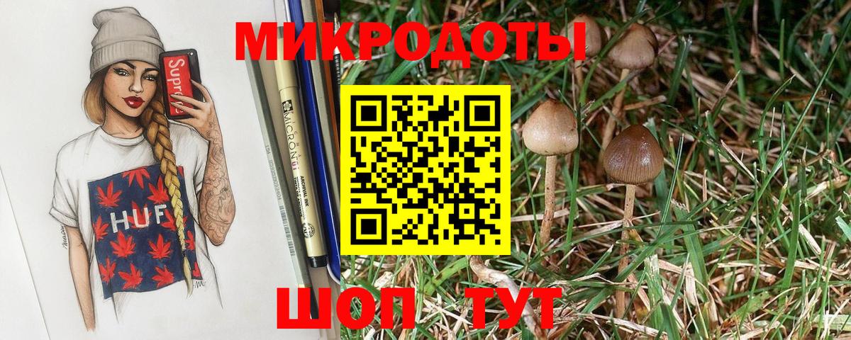 Галлюциногенные грибы Psilocybine cubensis Туапсе