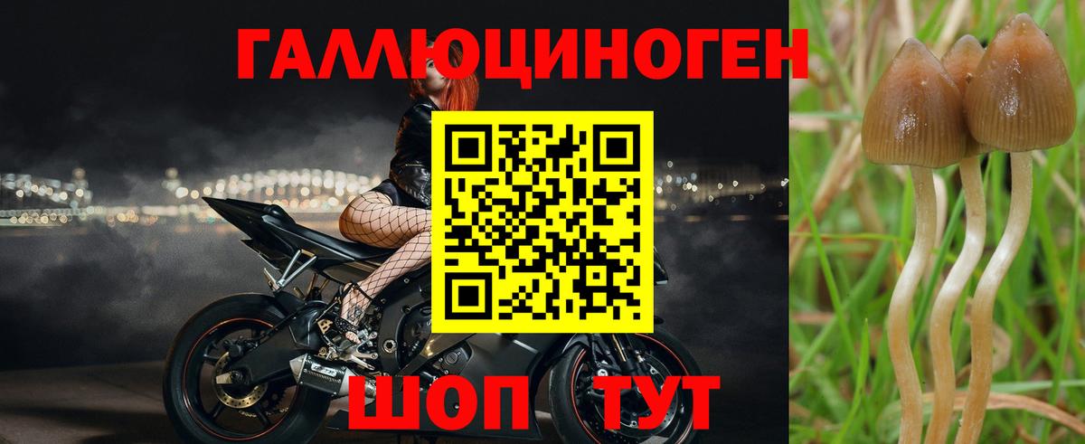Галлюциногенные грибы MAGIC MUSHROOMS  Вход с VPN  Псилоцибиновые грибы MAGIC MUSHROOMS  Туапсе 