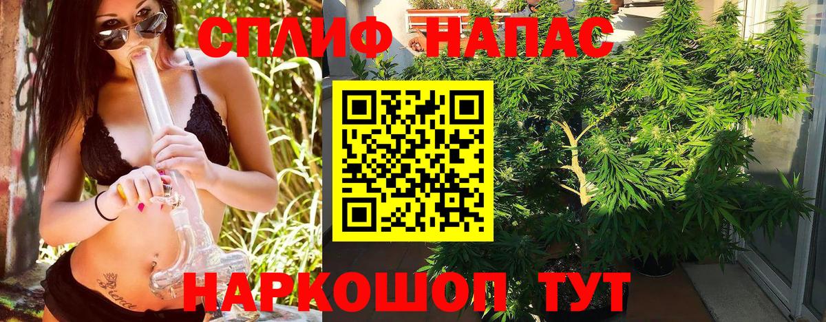 Бошки марихуана план Туапсе